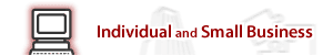 Individual and Small Business Options